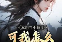 秦泽完整版《本想当小透明,可我怎么无敌了!》小说免费阅读-有文学