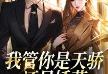 《我管你是天骄还是娇花,姐要了!》小说免费阅读完整版-有文学