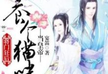 将门狂后：养个猫咪当皇帝连瑾，将门狂后：养个猫咪当皇帝完整版最新章节-有文学