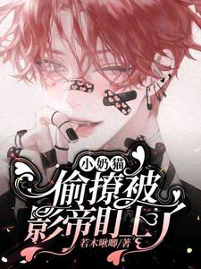 陆柯小说小奶猫偷撩被影帝盯上了章节免费阅读