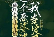 秦蓉完整版《痛打不孝儿子儿媳,这个恶婆婆我当定了》小说免费阅读-有文学