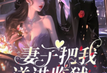 免费在线阅读妻子把我送进监狱，她跪求我原谅小说的正规网站有哪些？-有文学