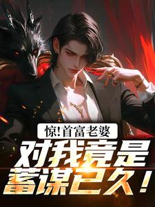 小说《惊！首富老婆对我竟是蓄谋已久！》完整版章节免费阅读