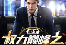 求重生:权力巅峰之官场风云!小说的全文免费阅读链接-有文学
