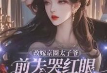 改嫁京圈太子爷,前夫哭红眼求我别嫁小说最新更新在哪里?免费在线看-有文学