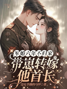 求军婚六年不归家，带崽转嫁他首长小说的全文免费阅读链接