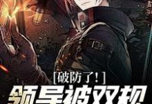 破防了!领导被双规,女友背叛我!(林向阳)完整版在线免费阅读-有文学