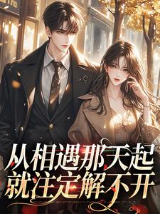 秦扬展漾小说完结版在线阅读，从相遇那天起，就注定解不开免费看