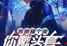 《我就碰个瓷，你戴头套什么意思？》完整版小说免费阅读-有文学