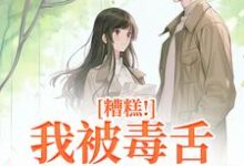 迟笙沈京洲小说《糟糕!我被毒舌霸总缠上了》在线阅读-有文学