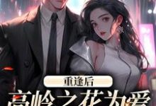 已完结小说《重逢后，高岭之花为爱变身追妻狂魔》最新章节-有文学