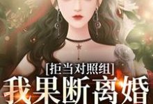 江月周颂年小说拒当对照组，我果断离婚逃离渣夫完整版阅读-有文学