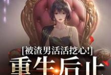 小说《被渣男活活挖心!重生后止损不舔了》完整版章节免费阅读-有文学