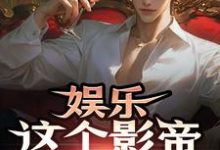 《娱乐：这个影帝有点儿帅》小说免费阅读完整版-有文学