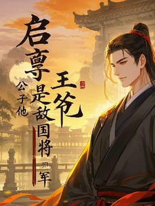 启禀王爷，公子他是敌国将军完整版小说，启禀王爷，公子他是敌国将军最新章节