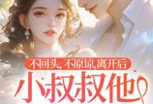 不回头，不原谅，离开后小叔叔他后悔了（时晚）完整版在线免费阅读-有文学