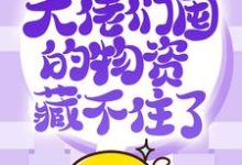 完结版《抢穿末日:大佬们囤的物资藏不住了》章节目录在线阅读-有文学