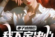 完整版的妻子逃婚后，我下定决心选了她小说在哪里可以免费读到？-有文学