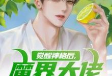 小说《觉醒神格后,魔界大佬举家搬迁》章节免费阅读-有文学