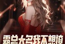 完整版《霸总太多我不想撩,唯爱女主才最棒》小说免费阅读-有文学