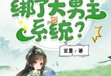 寻找能够免费阅读我，修仙虐文女主，绑了大男主系统？小说的平台-有文学