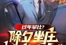 过年攀比？除夕坐庄初一连夜离乡小说的最新章节在哪里更新？免费追踪阅读-有文学