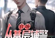 《官场：从基层辅警开始崛起》小说王初一安雪芙章节章节免费在线阅读-有文学