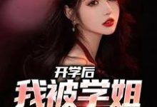 小说《开学后，我被学姐盯上了》章节免费阅读-有文学