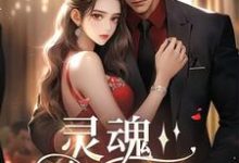 灵魂挚友宋熹洪京粤小说在线章节免费阅读-有文学