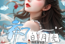 元柠完整版小说《弃了白月光男主后》免费阅读-有文学