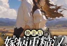 免费在线阅读换亲后，嫁病重糙汉床越换越宽小说的正规网站有哪些？-有文学