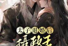 太子退婚后，摄政王他坐不住了完整版小说免费阅读，太子退婚后，摄政王他坐不住了小说-有文学