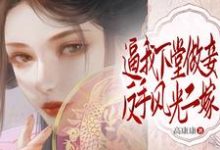 逼我下堂做妾？反手风光二嫁！小说有没有完整的免费版本在线阅读？-有文学