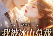 破产后,我被冰山总裁接回家涂鸢谢引鹤,破产后,我被冰山总裁接回家在线无弹窗阅读-有文学