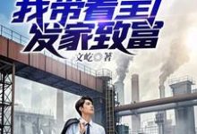 重回九零下岗潮，我带着全厂发家致富这本小说在哪里可以看？哪里有免费试读章节？-有文学