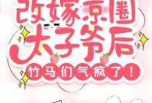 完结版《改嫁京圈太子爷后，竹马们气疯了》章节阅读-有文学