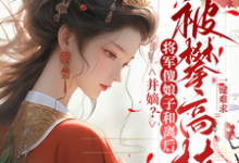 并嫡？将军傻娘子和离后被攀高枝小说最新更新在哪里？免费在线看-有文学