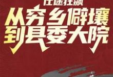 仕途狂飙:从穷乡僻壤到县委大院徐远舟林若溪,仕途狂飙:从穷乡僻壤到县委大院小说免费阅读-有文学
