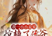 我一小小妾室,惊艳了侯爷很合理吧小说完结版章节免费阅读-有文学