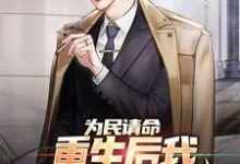 为民请命，重生后我走上官场巅峰小说免费资源，为民请命，重生后我走上官场巅峰在线阅读-有文学