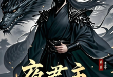 哪里能找到夜君主小说的全部章节?-有文学