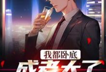 《我都卧底成老大了，还不收网？》小说章节在线试读，《我都卧底成老大了，还不收网？》最新章节目录-有文学