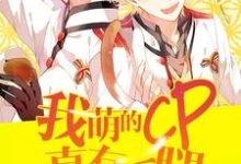 已完结小说《我萌的cp真有一腿》章节在线阅读-有文学