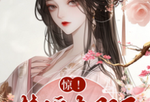 惊，替嫁太子妃竟是神医？小说有没有完整的免费版本在线阅读？-有文学