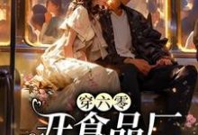 《穿六零开食品厂，惹上太子爷倒追》小说章节列表免费试读，夏荷小说在线阅读-有文学