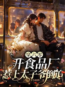 《穿六零开食品厂，惹上太子爷倒追》小说章节列表免费试读，夏荷小说在线阅读