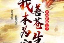 苏羽林婉儿小说《我本为官善苍生，奈何君临天下》在线阅读-有文学