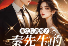 求重生后，我成了秦先生的白月光小说的全文免费阅读链接-有文学