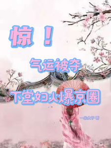惊！气运被夺，下堂妇火爆京圈最新章节，惊！气运被夺，下堂妇火爆京圈免费阅读