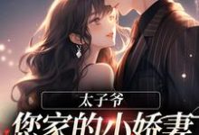 完结版《太子爷，您家的小娇妻又又又哭了！》免费阅读-有文学